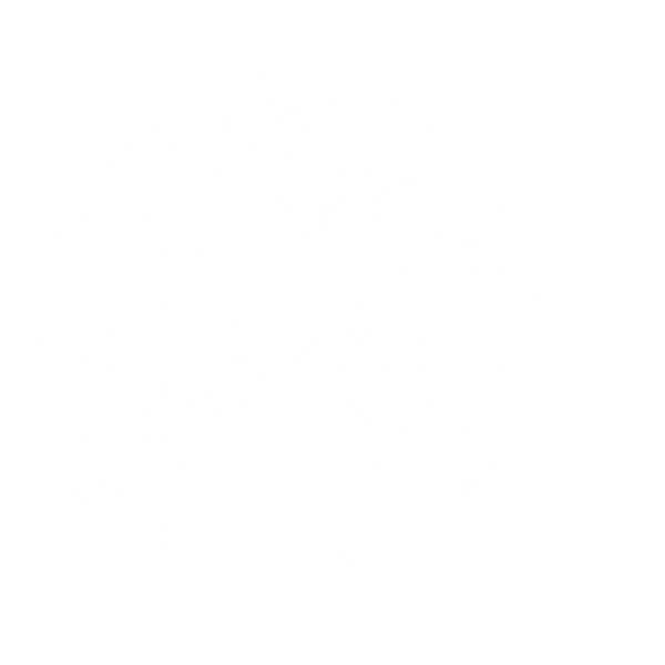 The Hotel Traveller